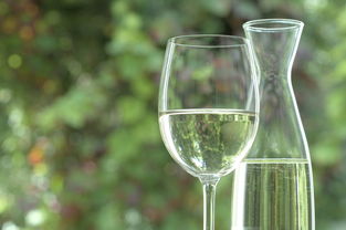 玻璃杯里的葡萄美酒摄影高清图片图片素材 图片ID 46588 酒水饮料